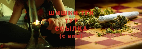 крисы Белокуриха
