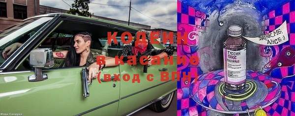 крисы Белокуриха