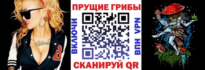 Псилоцибиновые грибы Psilocybe как найти наркотики Володарск